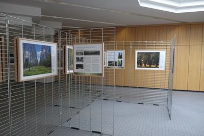 Ein Blick in die Ausstellung "Land der Alleen - die schönsten und wertvollsten Alleen in Niedersachsen" Foto: Gabriele Janz/LVO